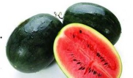 吃牛角蜜瓜视频大全集免费观看,视频大全集带你一网打尽