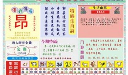 澳门最新爆料快报网站,快报网站揭秘热点事件